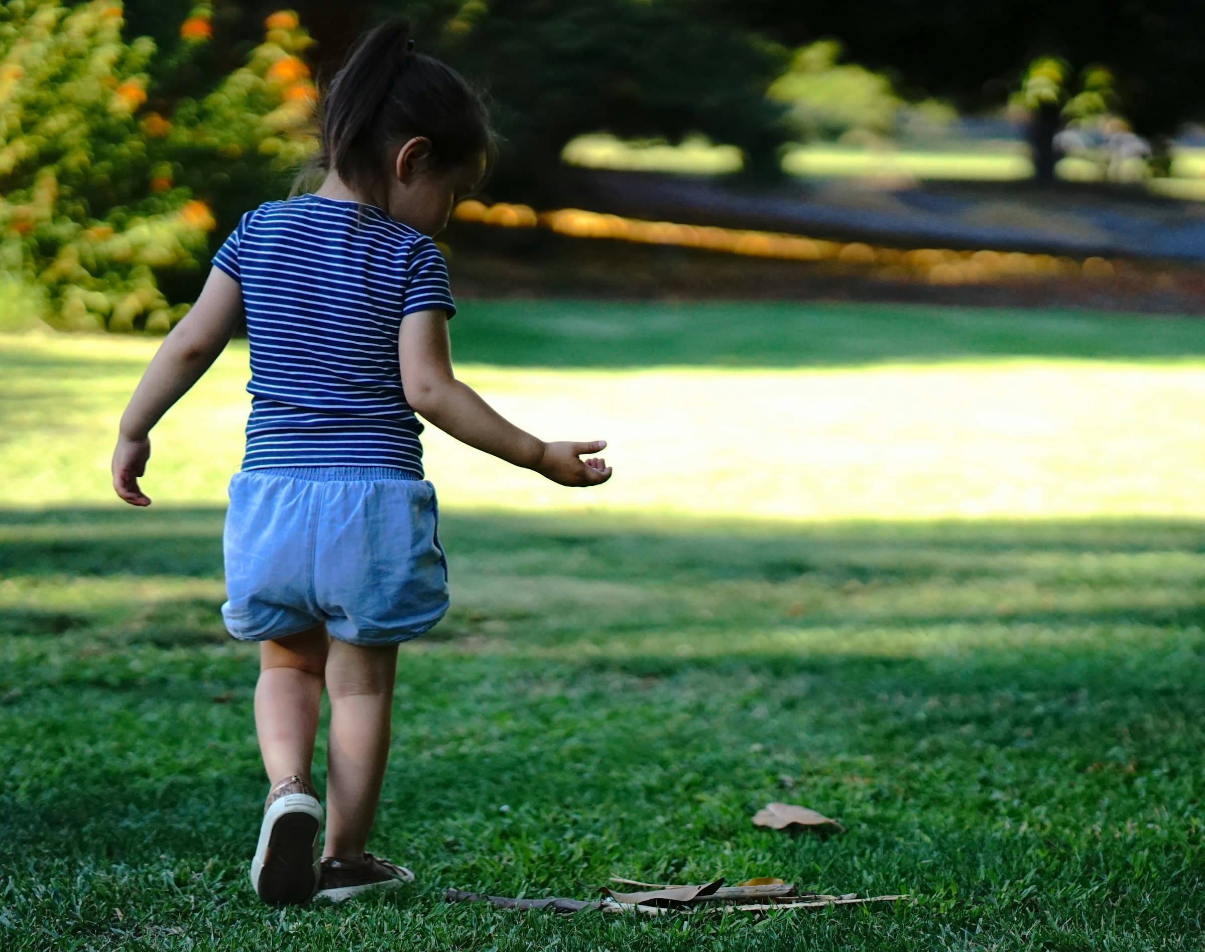 A young child walking across a sunlit lawn, reaching down towards fallen leaves in the grass